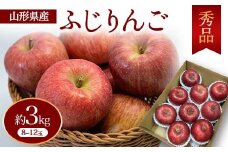 ふじりんご 秀品 約3kg 8～12玉 FSY-0750
