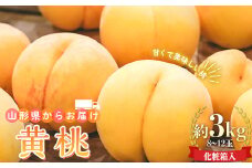 【先行予約 2025年度発送】山形県産 黄桃 約3kg 8～12玉 化粧箱入  もも モモ 桃 デザート フルーツ 果物 くだもの 果実 食品 山形県 FSY-0742