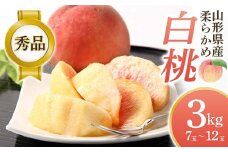 【2025年先行予約】柔らかめ白桃 3kg（7玉～12玉）秀品 FSY-0751