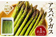 《先行予約 2025年度発送》山形の極旨 アスパラガス 約1kg（Lサイズ）  アスパラ 野菜 食品 山形県 FSY-0800