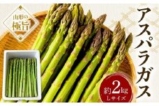《先行予約 2025年度発送》山形の極旨 アスパラガス 約2kg（Lサイズ）  アスパラ 野菜 食品 山形県 FSY-0801