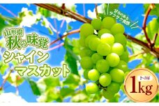 【先行予約 2025年度発送】数量限定 【山形県秋の味覚】シャインマスカット 1kg 2～3房  マスカット ぶどう ブドウ 葡萄 デザート フルーツ 果物 くだもの 果実 食品 山形県 FSY-0803