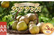 【先行予約（2025年度発送）】糖度14度以上 洋梨 「山形セレクション ラ・フランス」約3kg  なし ナシ 梨 デザート フルーツ 果物 くだもの 果実 食品 山形県 FSY-1912