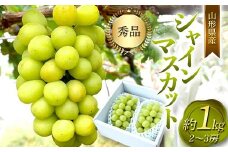 山形県産 シャインマスカット 2～3 房 約1kg  マスカット ぶどう ブドウ 葡萄 デザート フルーツ 果物 くだもの 果実 食品 山形県 FSY-0802