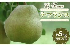 山形県産 ラ・フランス 約5kg 10～16玉 FSY-2426