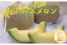 《2025年先行予約》山形県産 アールスメロン 2玉 3kg  青肉メロン メロン 青肉 デザート フルーツ 果物 くだもの 果実 食品 山形県 FSY-0821