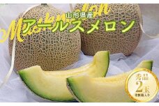 《2025年先行予約》山形県産 アールスメロン 2玉 3kg  青肉メロン メロン 青肉 デザート フルーツ 果物 くだもの 果実 食品 山形県 FSY-0821