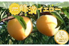《2025年先行予約》山形県産 プラム 峰満イエロー 約2kg （8玉～13玉） 秀品 化粧箱入り  フルーツ 果物 くだもの 果実 食品 山形県 FSY-0824