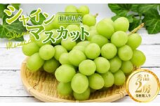 《2025年先行予約》山形県産 シャインマスカット 秀品 2房入り （約1.4kg） 化粧箱  マスカット ぶどう ブドウ 葡萄 デザート フルーツ 果物 くだもの 果実 食品 山形県 FSY-0825