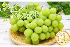 《2025年先行予約》山形県産 シャインマスカット 秀品 3～4房入り 2kg 箱入り  マスカット ぶどう ブドウ 葡萄 デザート フルーツ 果物 くだもの 果実 食品 山形県 FSY-0826