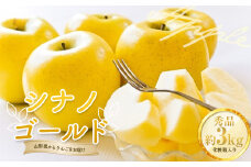 《令和6年10月上旬発送開始》 山形県産 りんご シナノゴールド 秀品 約3kg （8玉～11玉入り） 化粧箱入り  リンゴ 林檎 デザート フルーツ 果物 くだもの 果実 食品 山形県 FSY-0827