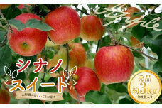 《令和6年10月上旬発送開始》 山形県産 りんご シナノスイート 秀品 約3kg （8玉～11玉入り） 化粧箱入り  リンゴ 林檎 デザート フルーツ 果物 くだもの 果実 食品 山形県 FSY-0828