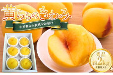 《2024年先行予約》山形県産 黄桃 （黄ららのきわみ） 秀品2kg 化粧箱  もも モモ 桃 デザート フルーツ 果物 くだもの 果実 食品 山形県 FSY-0822