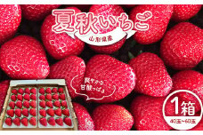 山形県産 夏秋いちご サマーティアラまたはすずあかね 40玉～60玉 1箱 （約600g） FSY-0784