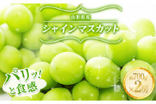 山形県産 シャインマスカット 約700g×2房 FSY-1388