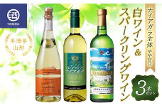 美酒県山形 ナイアガラ主体 やや甘口 白ワイン＆スパークリングワイン 3本セット F2Y-3600