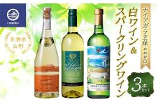美酒県山形 ナイアガラ主体 やや甘口 白ワイン＆スパークリングワイン 3本セット F2Y-3600