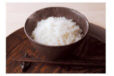 特別栽培米 山形県産 つや姫  米 お米 ブランド米 銘柄米 備蓄 日本米 コメ ごはん ご飯 食品 山形県 F2Y-0255