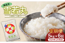 《6ヶ月定期便（2024年1月発送開始）》 雪若丸 5kg×6回（計30kg） 無洗米 FSY-0812