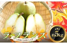 《2025年発送》 ラ・フランス 約5kg（12～16玉） FSY-0866