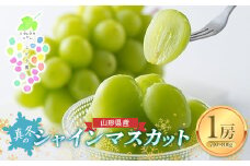 【カラフルぶどう園】 山形県産 真冬のシャインマスカット 1房（700～800g） 2023年12月中旬から順次発送 F2Y-5610