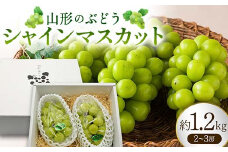 山形のぶどう シャインマスカット 約1.2kg（2～3房） FSY-0874