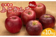 令和5年産 山形県産ふじりんご＜訳あり＞10kg 32玉～56玉 数量限定 FSY-0876