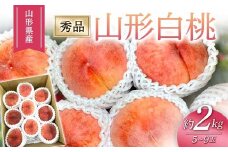 【2025年度先行予約】山形白桃 2kg 5玉～9玉 FSY-1027