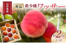 【2025年度先行予約】希少桃 ワッサー 2kg 5玉～9玉 FSY-1026