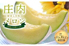 【2025年発送 先行予約】庄内メロン3～4玉 約5kg FSY-1018