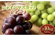 【2025年発送 先行予約】シャインマスカット5kgとピオーネ5kg 計10kg  マスカット ぶどう ブドウ 葡萄 デザート フルーツ 果物 くだもの 果実 食品 山形県 FSY-1015