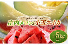 【2025年発送 先行予約】庄内メロン2玉と小玉スイカ2玉の食べ比べ 計4玉 約5kg FSY-1019