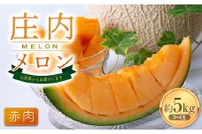 【2025年発送 先行予約】庄内メロン赤肉 3～4玉 約5kg FSY-1020
