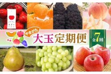 【2025年発送先行予約】やまがた大玉定期便(全7回) FSY-1024