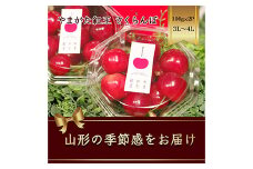 やまがた紅王 さくらんぼ 3L～4L100g×2パック入 【2025年6月から発送】 FSY-1165