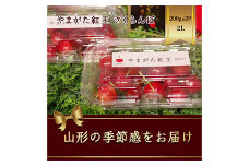 やまがた紅王 さくらんぼ2Ｌ200g×2パック入 【2025年6月から発送】 FSY-1166