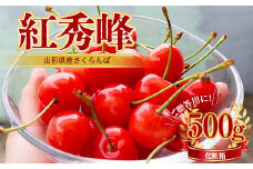 紅秀峰 さくらんぼ 手詰め 2段詰め 化粧箱 500g×1箱 【2024年6月中旬から発送】 FSY-1050