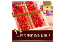 さくらんぼ 紅秀峰 200g×4パック 2Lサイズ【2025年6月上旬から発送】 FSY-1173