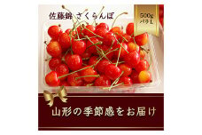 さくらんぼ 佐藤錦 500g×1パック Lサイズ バラ詰め【2025年6月発送】 FSY-1168