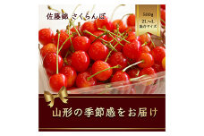 さくらんぼ 佐藤錦 500g L～2Lサイズ混合 バラ詰め【2025年6月発送】 FSY-1170