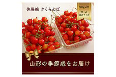 さくらんぼ 佐藤錦 500g×2パック L～2Lサイズ混合 バラ詰め【2025年6月発送】 FSY-1171