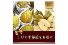 【2025年発送先行予約】西洋梨 約5玉～約9玉 約2.5kg《品種指定はできません》  なし ナシ 梨 デザート フルーツ 果物 くだもの 果実 食品 山形県 FSY-1081