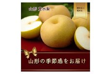 【2025年発送先行予約】豊水梨 約6玉～約8玉 約2.5kg【2025年9月から発送】  なし ナシ 梨 デザート フルーツ 果物 くだもの 果実 食品 山形県 FSY-1086