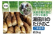 【先行予約 2025年5月発送】行列ができる山形・庄内地方の春の名物ブランドたけのこ 湯田川のたけのこ（ご家庭用）約3kg FSY-1180