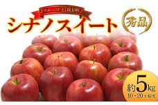 【先行予約 2025年度発送】♪フルーツ王国山形♪ シナノスイート 秀品 約5kg  りんご リンゴ 林檎 デザート フルーツ 果物 くだもの 果実 食品 山形県 FSY-1850