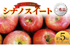 【先行予約 2025年度発送】♪フルーツ王国山形♪ シナノスイート 〇秀品 約5kg  りんご リンゴ 林檎 デザート フルーツ 果物 くだもの 果実 食品 山形県 FSY-1851