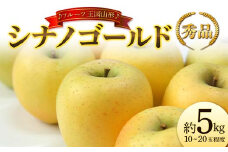【先行予約 2025年度発送】♪フルーツ王国山形♪ シナノゴールド 秀品 約5kg  りんご リンゴ 林檎 デザート フルーツ 果物 くだもの 果実 食品 山形県 FSY-1852