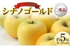 【先行予約 2025年度発送】♪フルーツ王国山形♪ シナノゴールド 〇秀品 約5kg  りんご リンゴ 林檎 デザート フルーツ 果物 くだもの 果実 食品 山形県 FSY-1853