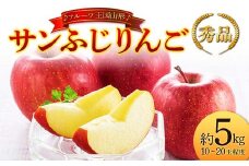 【先行予約 2025年度発送】♪フルーツ王国山形♪ サンふじりんご 秀品 約5kg  りんご リンゴ 林檎 デザート フルーツ 果物 くだもの 果実 食品 山形県 FSY-1892
