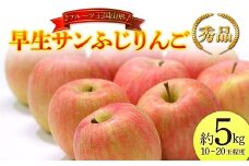 【先行予約 2025年度発送】♪フルーツ王国山形♪ 早生サンふじりんご 秀品 約5kg  りんご リンゴ 林檎 デザート フルーツ 果物 くだもの 果実 食品 山形県 FSY-1150